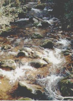 Truite - la qualit de l'eau